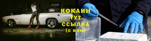 скорость Алексин
