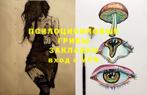 индика Алексеевка