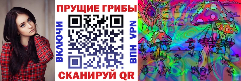 магазин    Снежногорск  darknet официальный сайт  Псилоцибиновые грибы Cubensis 